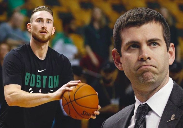 的定心丸 的定心丸