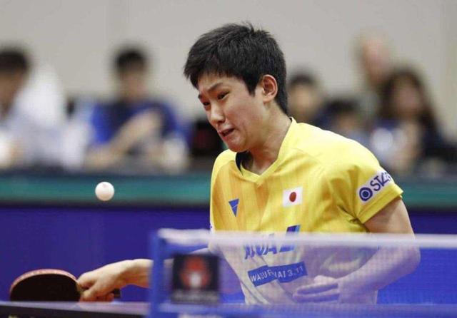 适合预算有 适合预算有